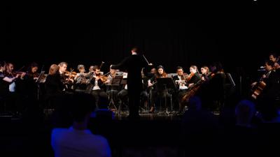 Image Hrvatski komorni orkestar - "Iz bilježnice maestra Papandopula"