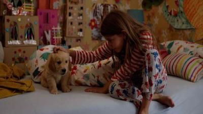 Image DNEVNIK PAULINE P. - Ciklus "Suvremeni dječji klasici"