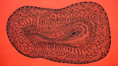 Image PROSLAVA STVARANJA – intermedijalna autorska večer Tene Novak