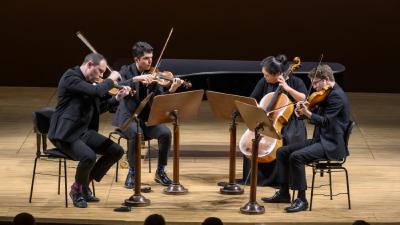 Image CALIDORE STRING QUARTET (SAD)