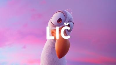 Image Dječak dupin 2