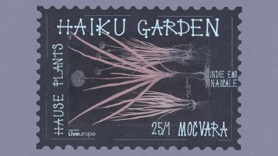 Image Haiku Garden i Hause Plants u Močvari