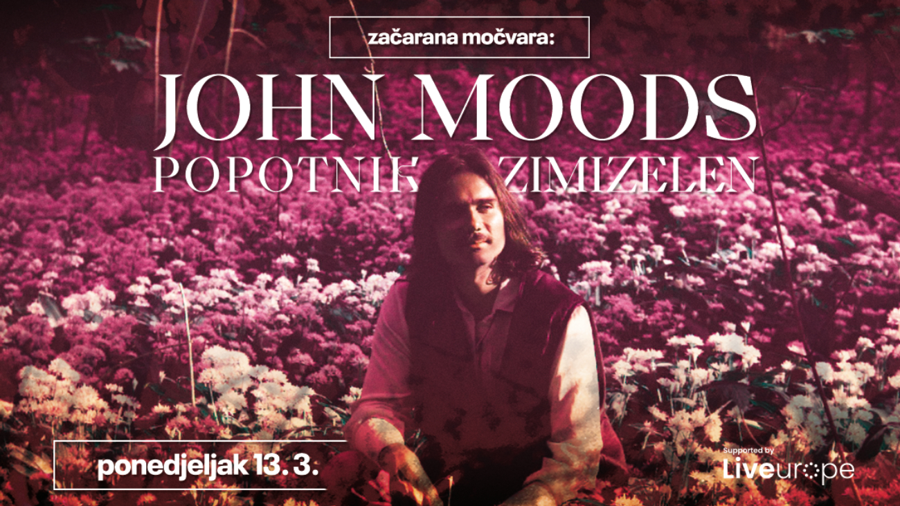 Image John Moods, Popotnik i Zimizelen u Začaranoj Močvari