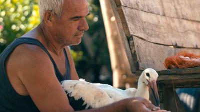 Image Kino Zona Zadar: Priča o Siljanu