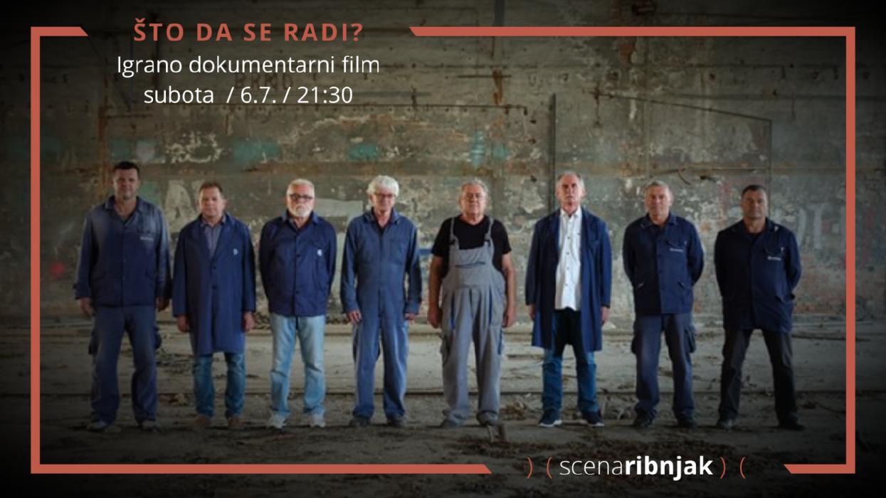 Image Ljetno kino Ribnjak: ŠTO DA SE RADI?