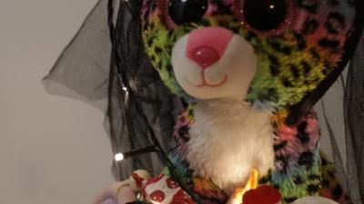 Image Lucija Klarić: zadnji voz.