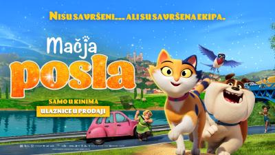 Image Mačja posla- Miss Moxy SINK