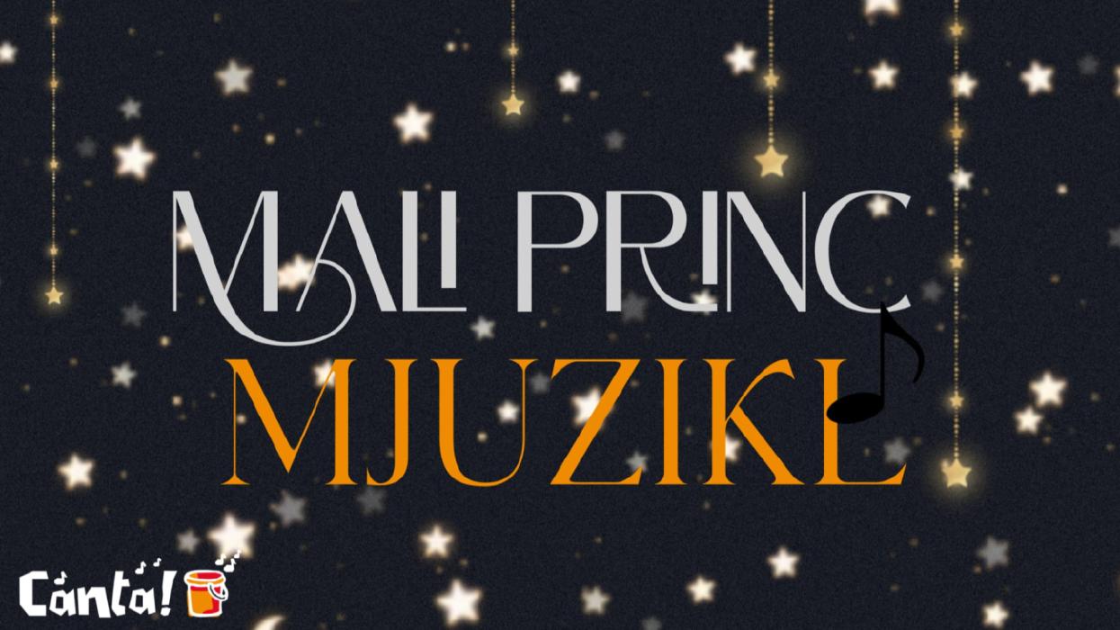 Image Mali princ, mjuzikl