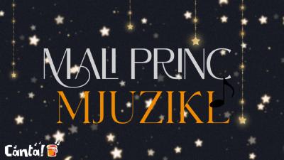 Image Mali princ, mjuzikl