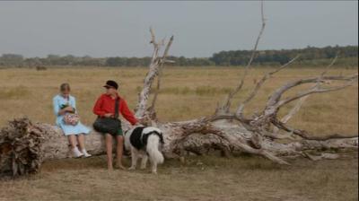 Image Mjesec našeg filma: Šegrt Hlapić