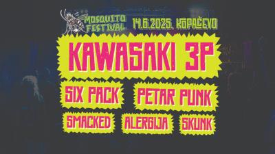 Image Mosquito Fest