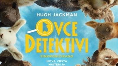 Image Ovce detektivi