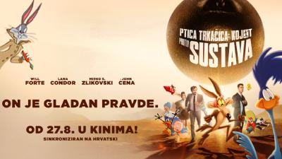 Image Ptica trkačica: Kojot protiv sustava
