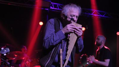 Image Sacher ◉ Katran ◉ Žarište