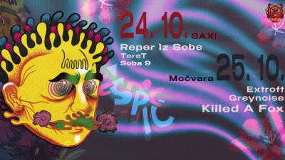 Image ŠPIC FESTIVAL 2. DAN (Močvara)