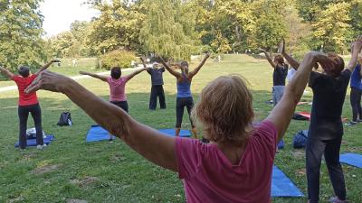 Image TAI CHI, jutarnji trening za građane
