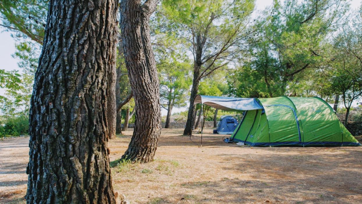Image Velvet Festival Camping